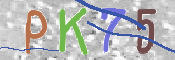 Image Anti-spam